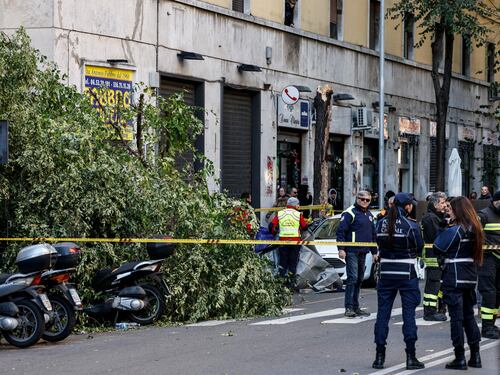 Travolta da un albero mentre passeggiava. 82enne muore a Roma. I residenti: "Potatura? Un miraggio"