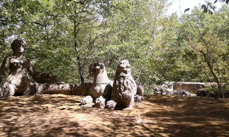 Echidna e leoni