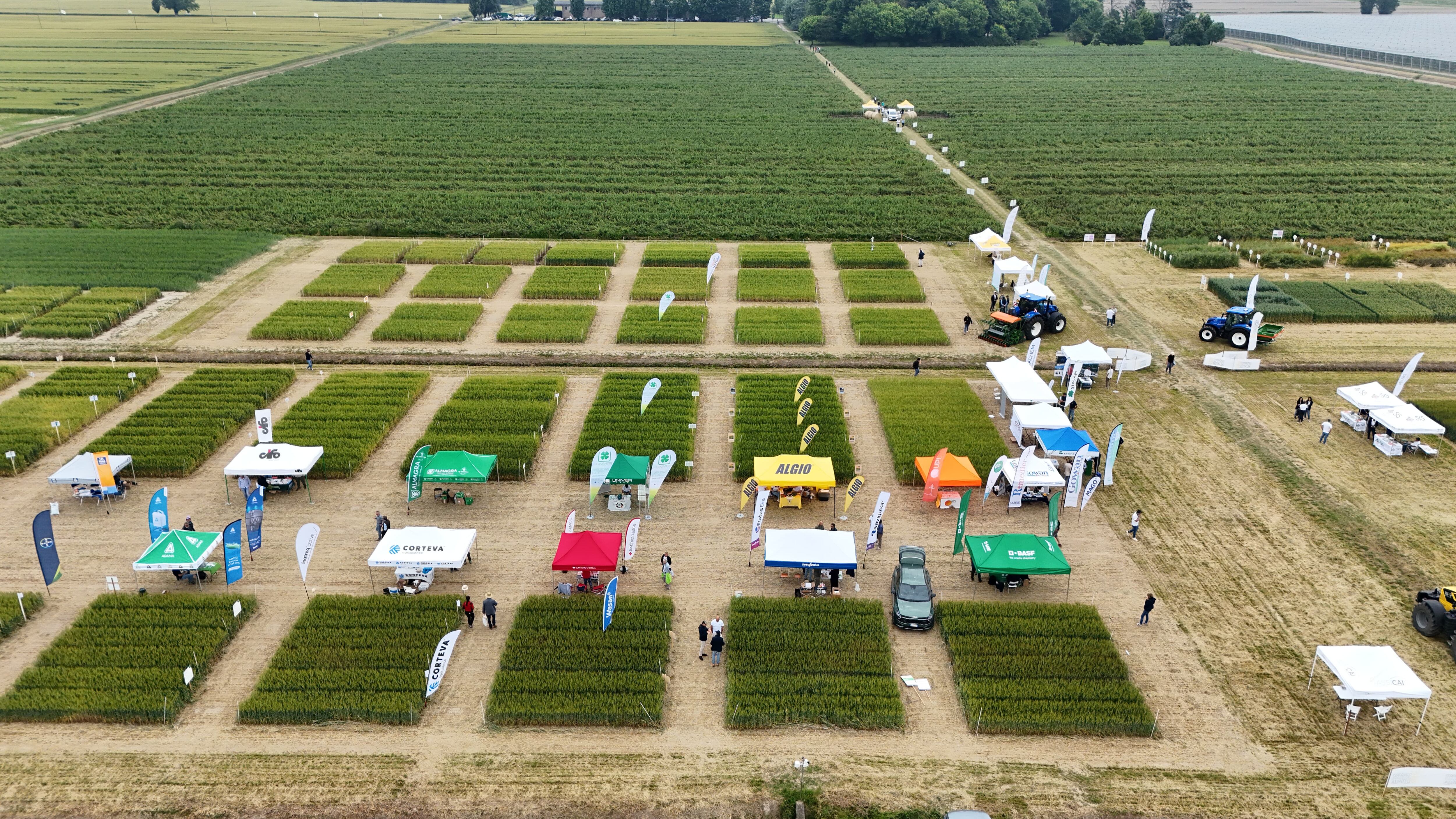 Consorzi agrari d’italia, quattro anni di “risultato sicuro”: oltre 157 milioni di euro a sostegno delle imprese agricole