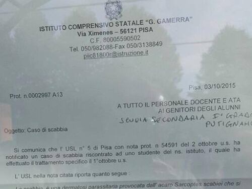 Pisa, denuncia della Lega: "Caso di scabbia a scuola"