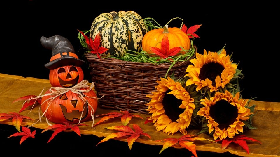 La zucca: ortaggio autunnale ricco di vitamine e fibre