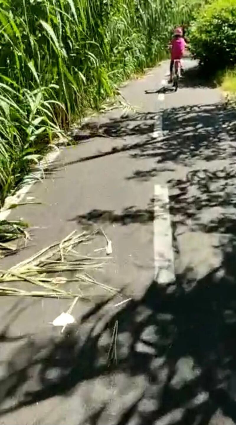 Pista ciclabile Roma 4