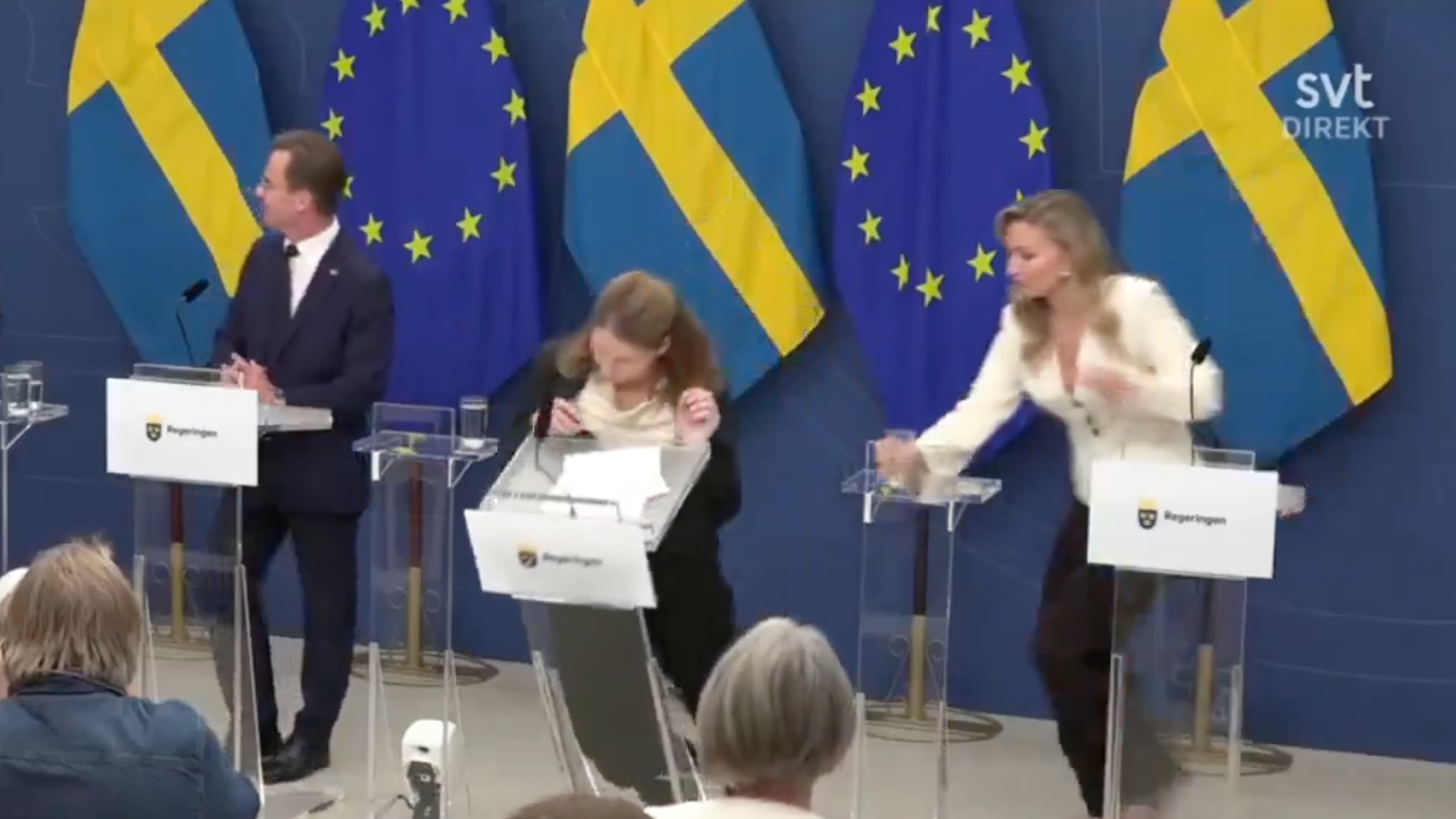 Il malore, poi il collasso: così la ministra svedese è svenuta in conferenza stampa