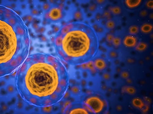 Lotta ai tumori: in arrivo un nuovo sistema di immunoterapia