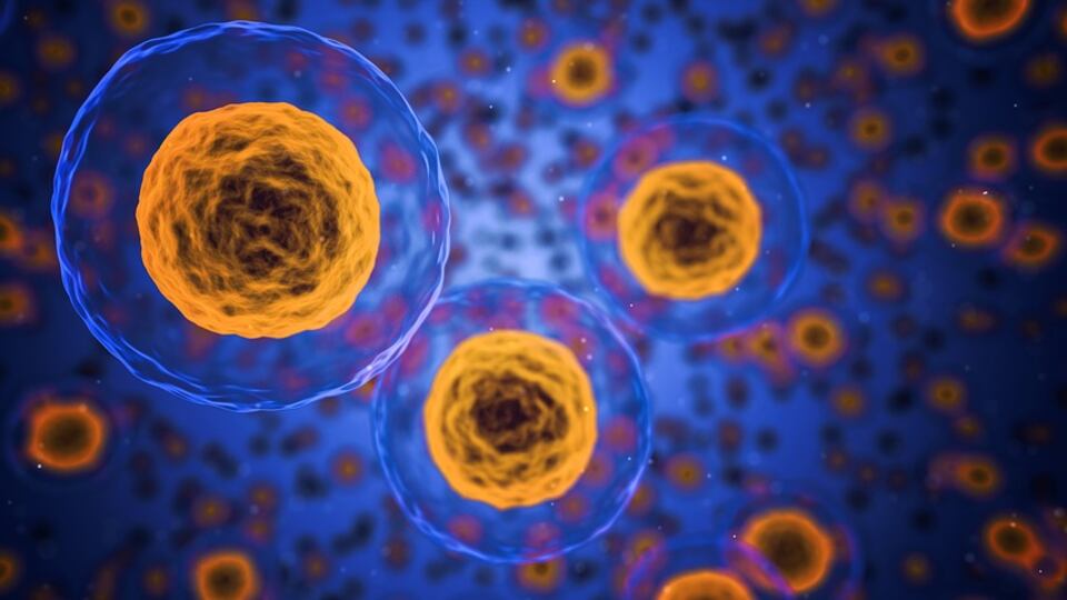 Lotta ai tumori: in arrivo un nuovo sistema di immunoterapia