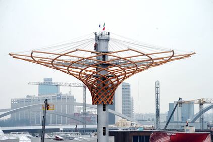 L'albero di Expo mette la chioma 12