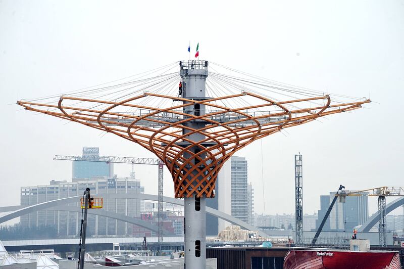L'albero di Expo mette la chioma 12