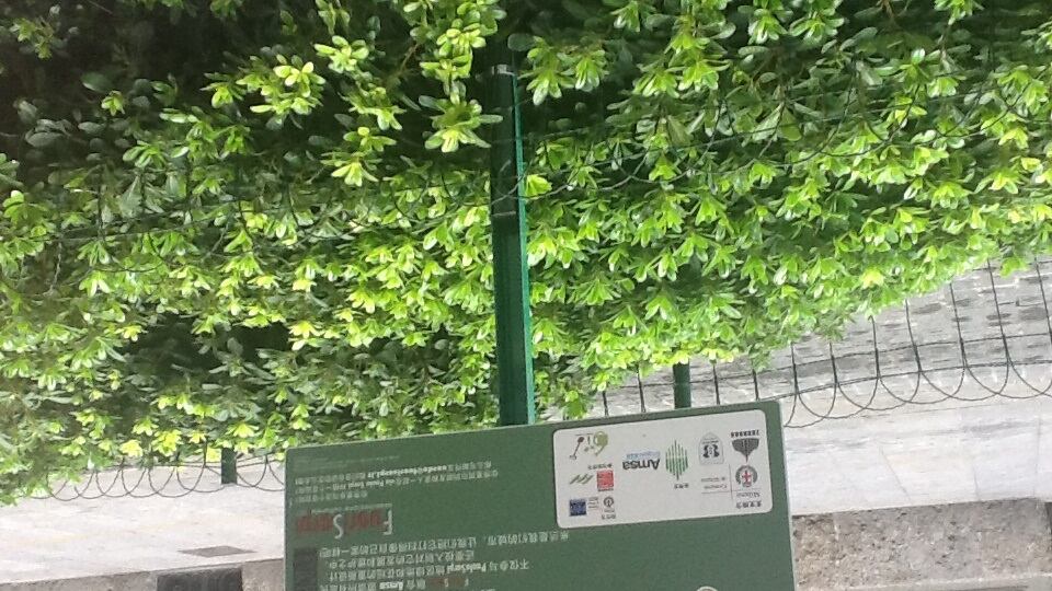 Dopo il saluto arabo all'Arena i cartelli in cinese di via Sarpi