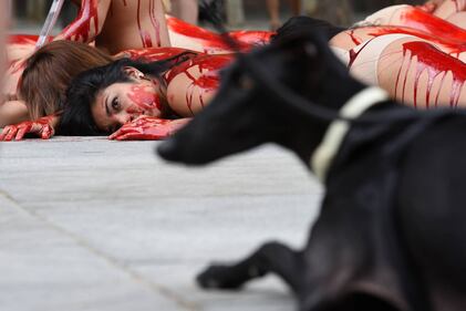 Madrid, la protesta choc degli animalisti 1