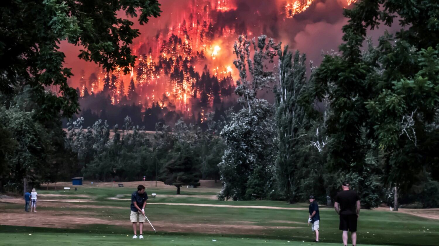 Giocano a golf durante l'incendio: metafora del cambiamento climatico