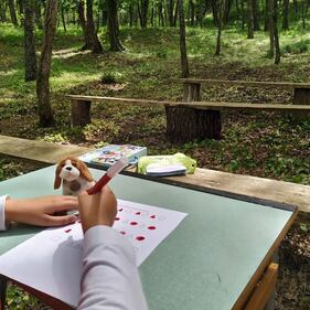 Biccari, le immagini della scuola nel bosco 6