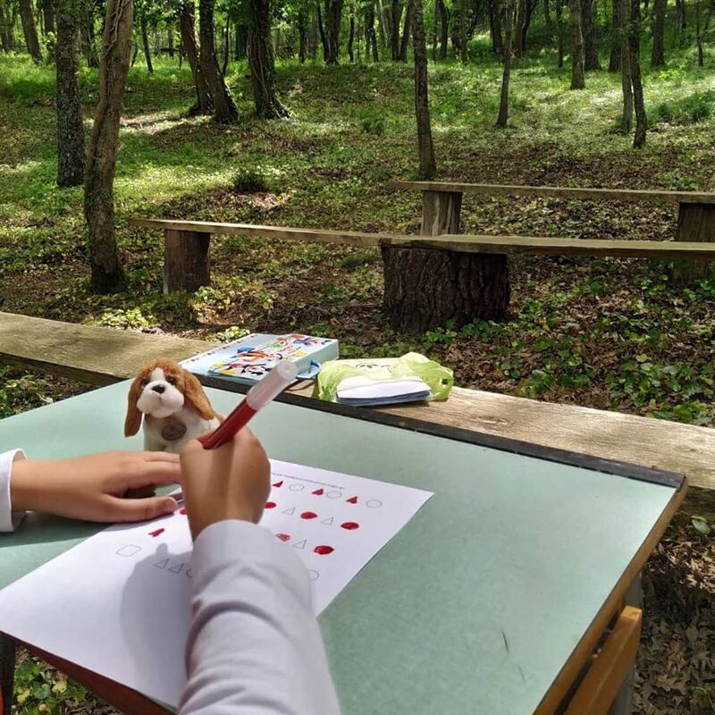 Biccari, le immagini della scuola nel bosco 6