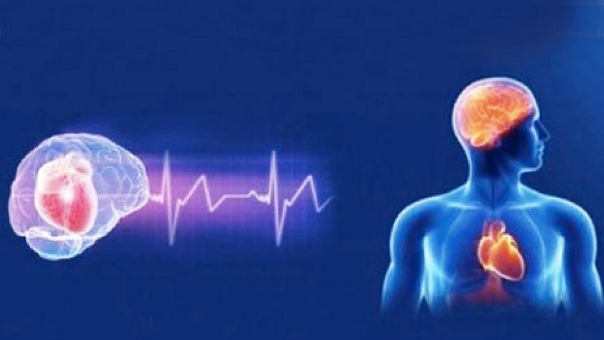 Ecco che cosa accade quando Covid attacca il cuore e il cervello