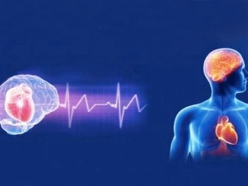 Ecco che cosa accade quando Covid attacca il cuore e il cervello