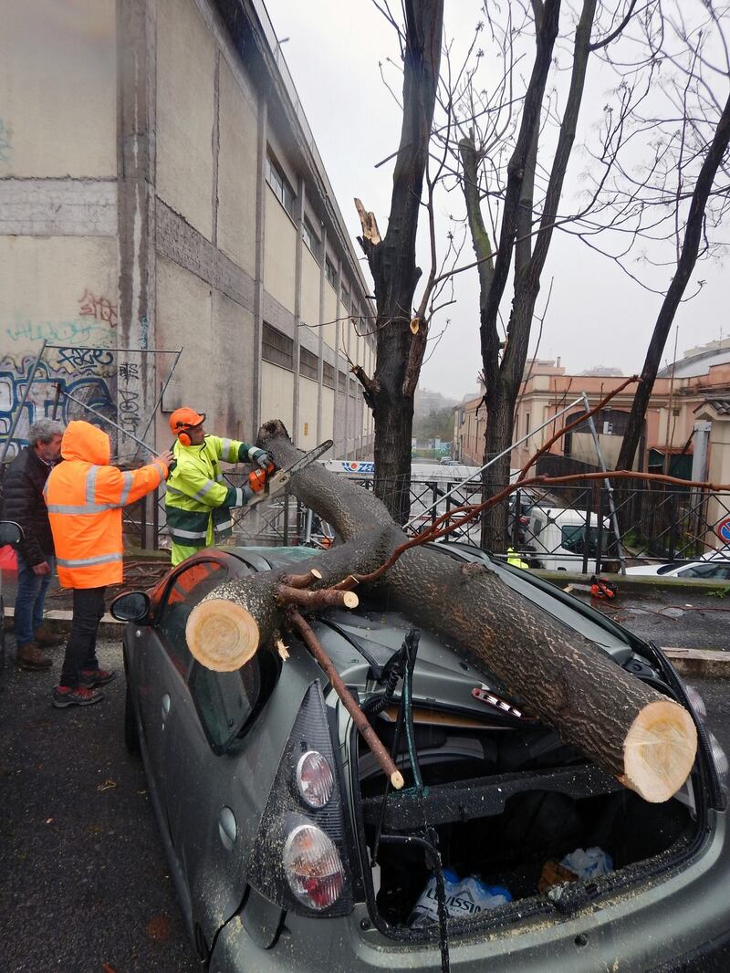 albero caduto a Roma