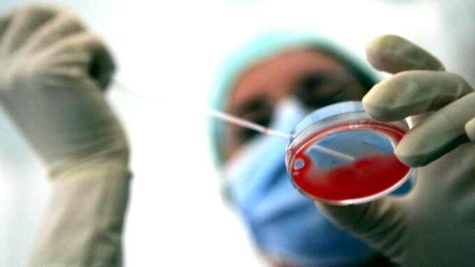 Le avevano tolto un ovaio Oggi è diventata mamma