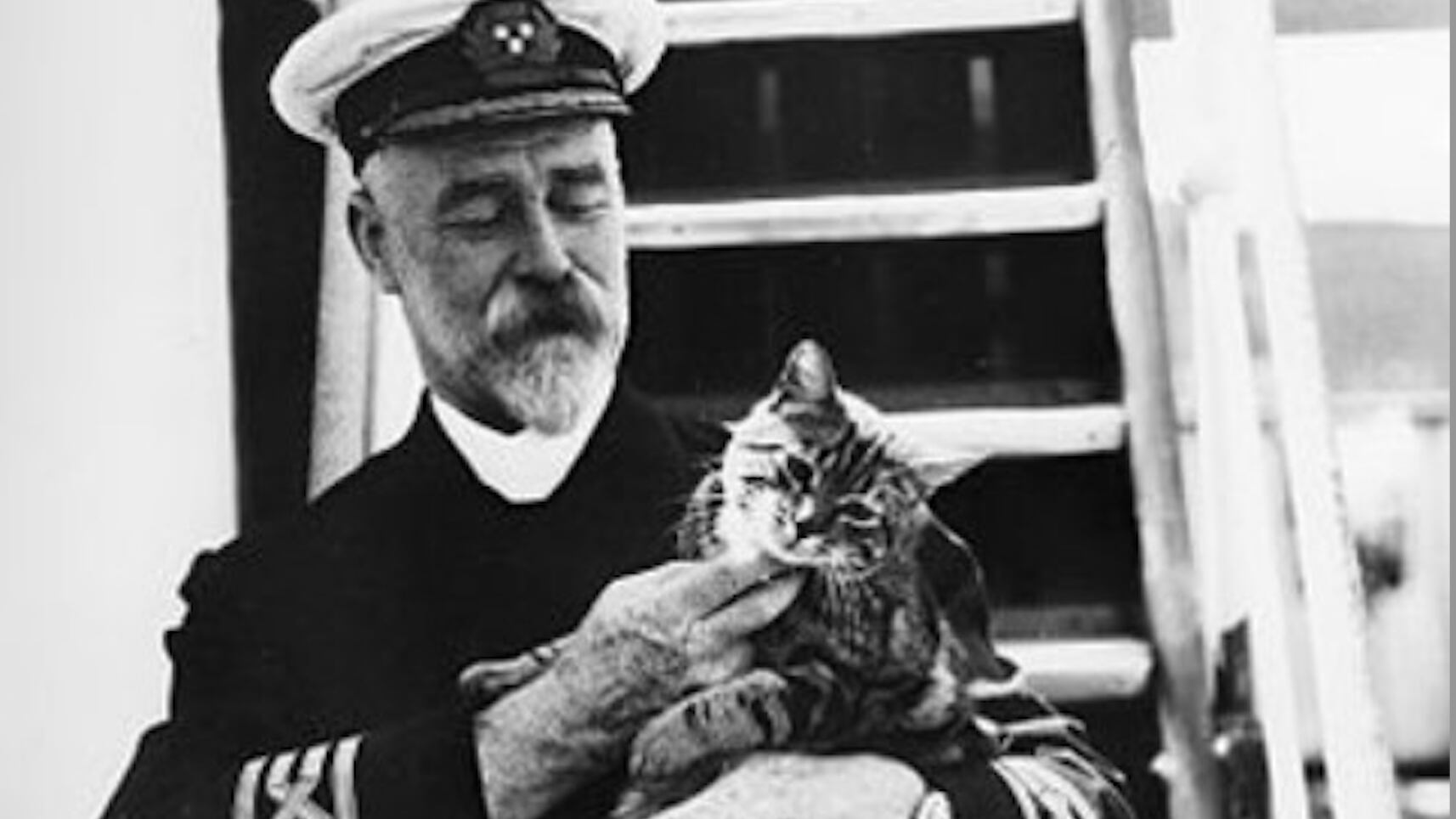 La storia di Jenny, la gatta che predisse il naufragio del Titanic