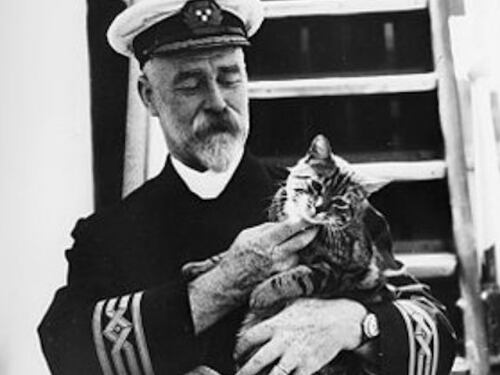 La storia di Jenny, la gatta che predisse il naufragio del Titanic