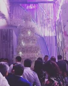 Il matrimonio più costoso del mondo 5