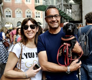 La "Sausage Walk" a Milano: sfilano i bassotti 9