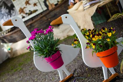 Orticola 2013, la mostra botanica 4
