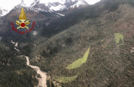 Emergenza meteo: la strage dei boschi in tutta Italia 4