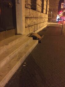 Natale a Roma 18