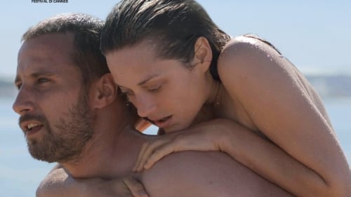 “Un sapore di ruggine e ossa”, lezione di vita al cinema