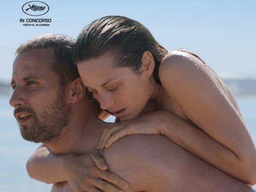 “Un sapore di ruggine e ossa”, lezione di vita al cinema
