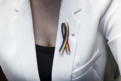 Boschi arcobaleno per la fiducia alle unioni gay 4