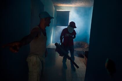 L'incubo Zika 6