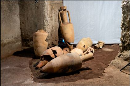Domus rinvenuta nel parco archeologico del Colesseo 6