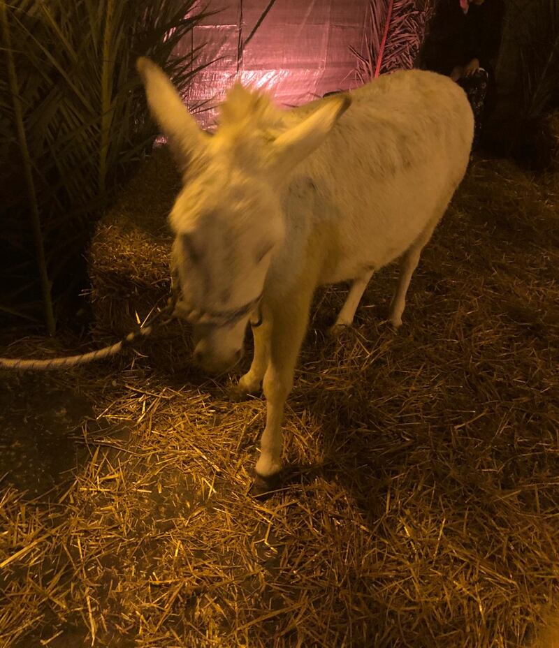 Animali presepe 5