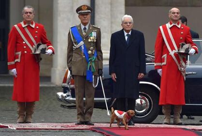Briciola, la cagnolina che ruba la scena a Mattarella  4