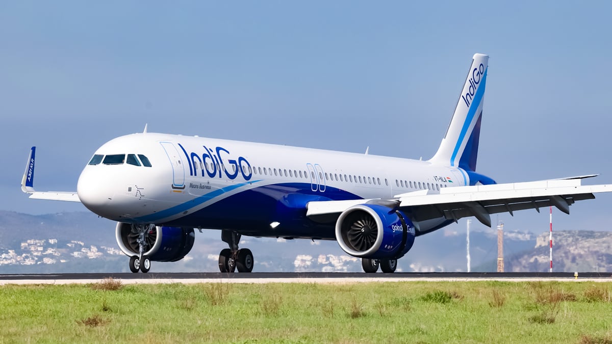 Indigo