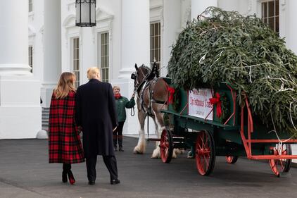La Casa Bianca si prepara al Natale 11