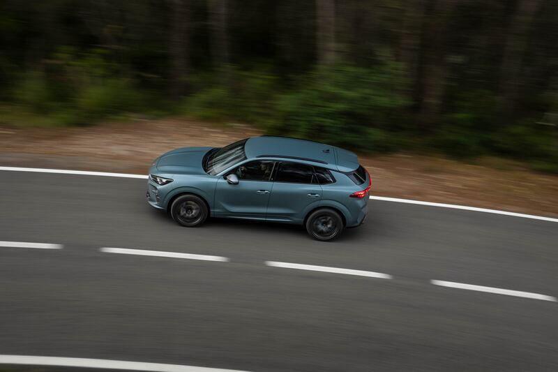Cupra Terramar: guarda tutte le foto 6