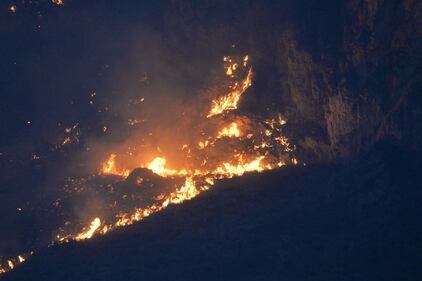 Palermo accerchiata dal fuoco: bruciano le colline attorno alla città 7