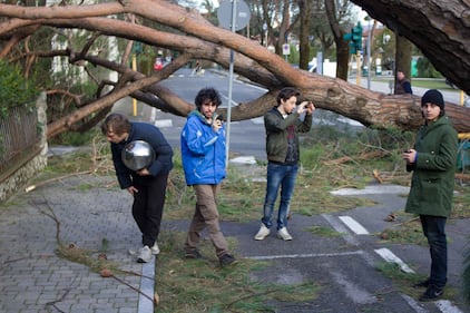 Il maltempo distrugge la pineta di Forte dei Marmi 5