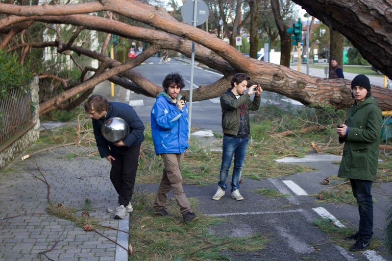 Il maltempo distrugge la pineta di Forte dei Marmi 5