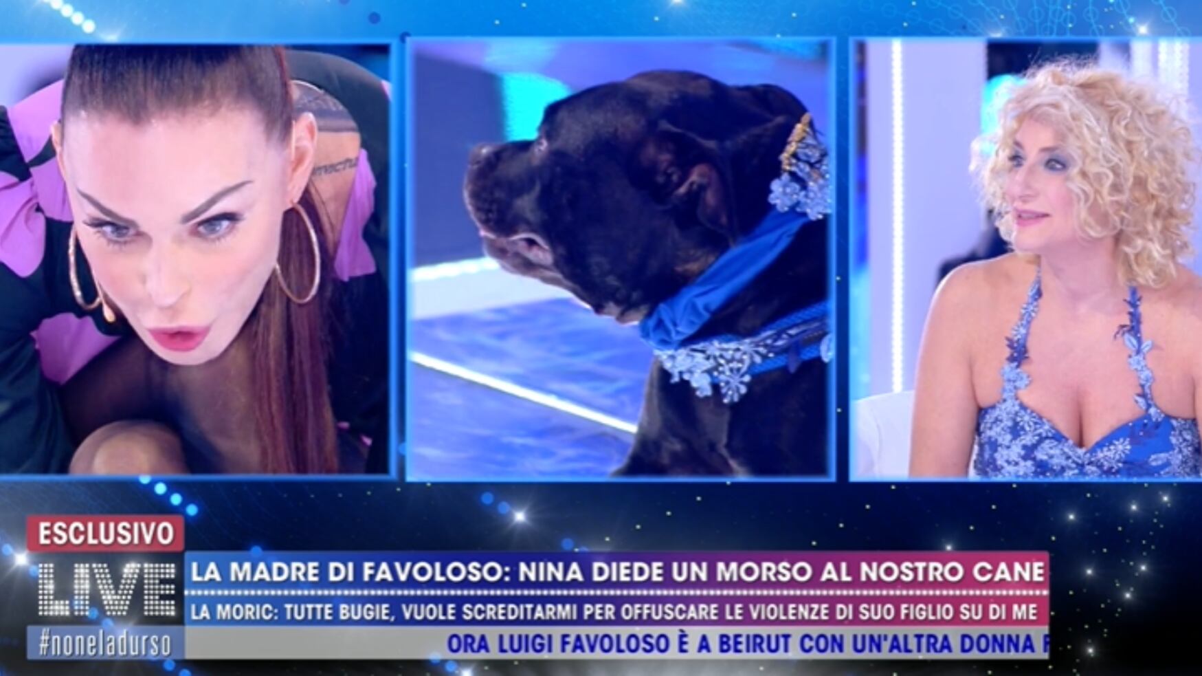 "Hai morso il mio cane". Ma Nina Moric smentisce