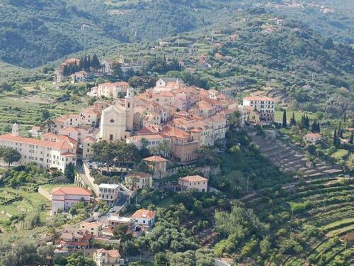 Liguria, dove l'olio è un elisir con la stessa dignità del vino