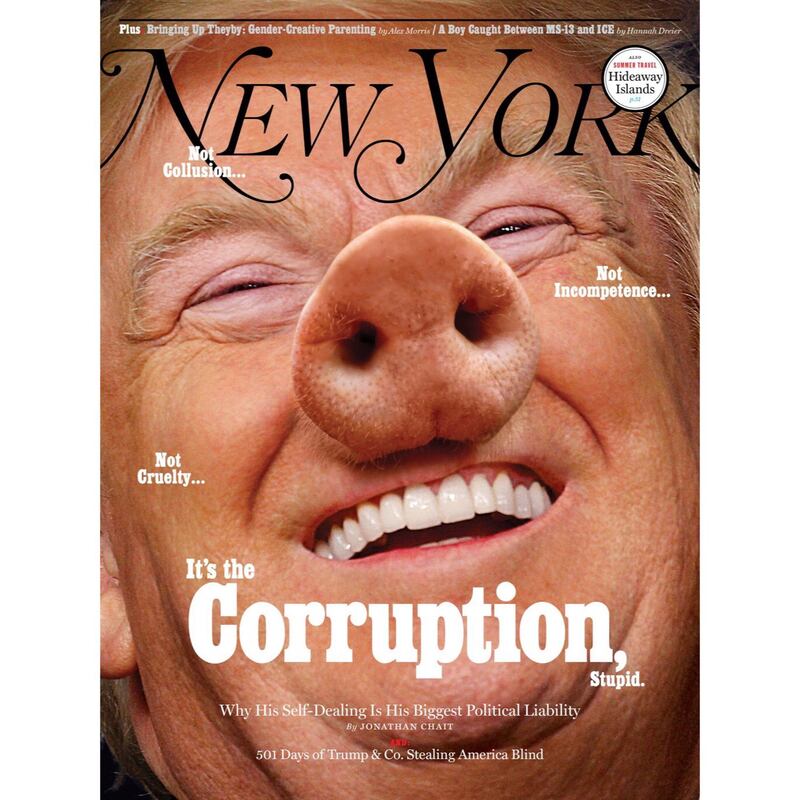 Trump sulla copertina del New York Magazine