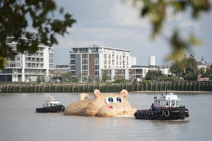 Londra, ippopotamo gigante naviga lungo il Tamigi 7