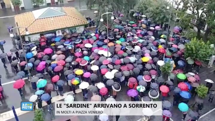Dalle sardine ai quattro gatti. Ma lanciano il loro "manifesto"