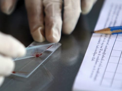 Malaria, il centrodestra attacca: "Con i migranti tornano malattie"