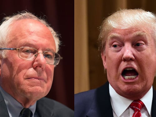 Trump e Sanders avanti in New Hampshire