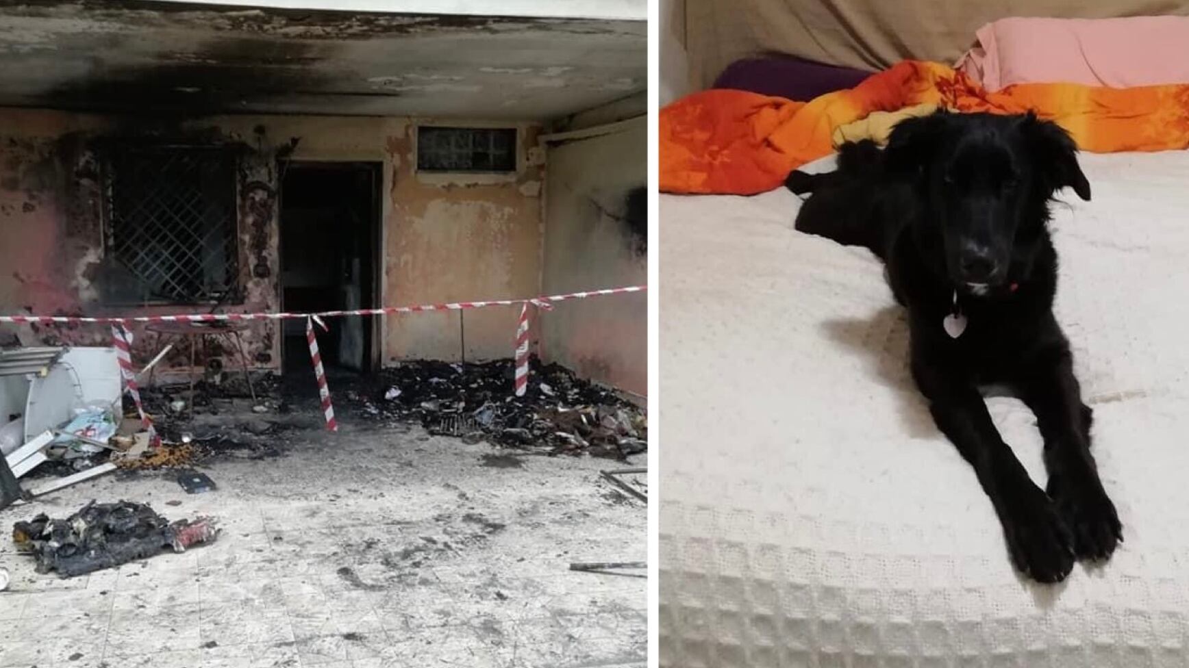 Tragedia a Capodanno, villino inghiottito dalle fiamme: "È stato un petardo"