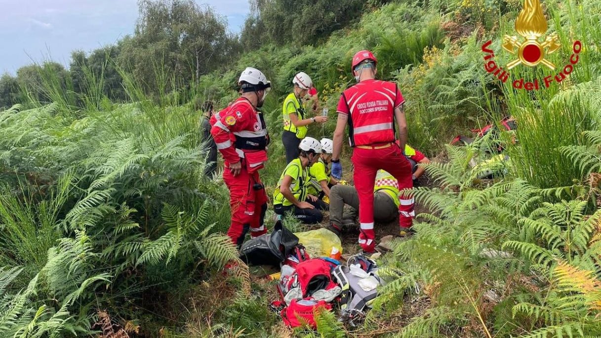 Beveva acqua piovana e parlava con una volpe: così l'88enne è sopravvissuta quattro giorni nei boschi