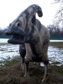 Dinosauri in carne e ossa alla Reggia di Monza 6